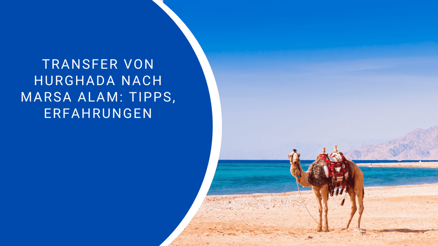 Transfer von Hurghada nach Marsa Alam - Die besten Tipps